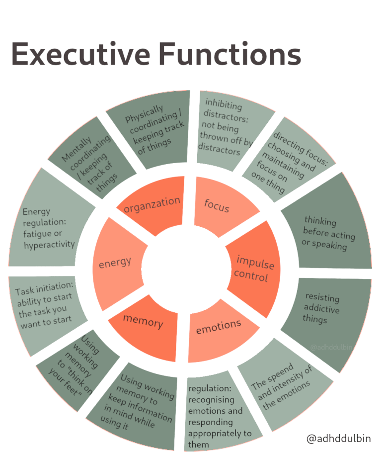 What is executive dysfunction? Symptoms, Causes, and ADHD Support ...