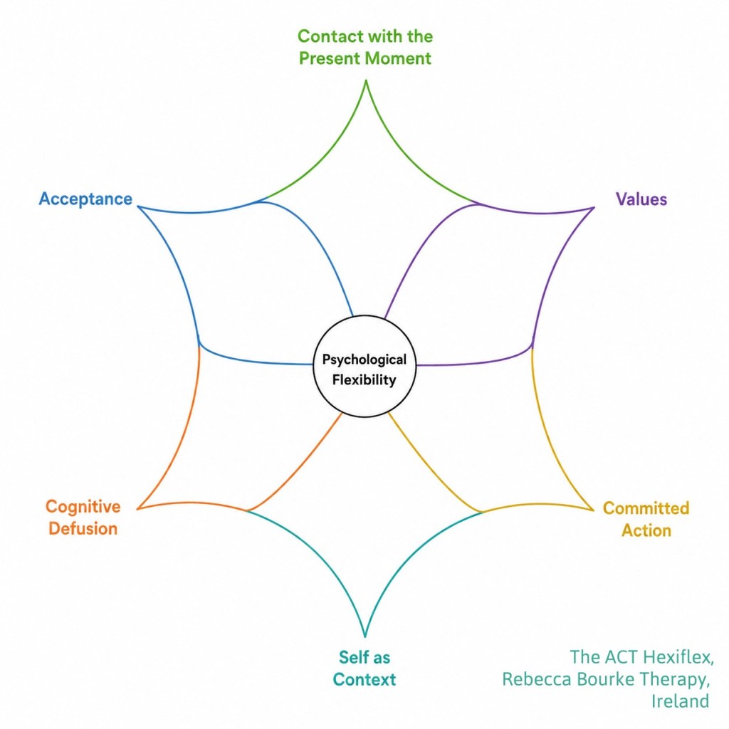 A diagram detailing the six core pillars of Acceptance and Commitment Therapy (ACT) modified specifically for adult ADHD support. The interconnected components of psychological flexibility are: values, committed action, self as context, cognitive defusion, acceptance, and contact with the present moment.